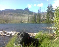 Dexter on his last hike.