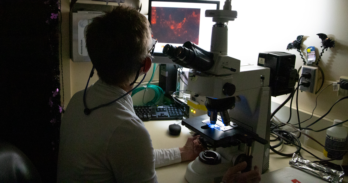Microbiologist Wendy Black examines the slide.
