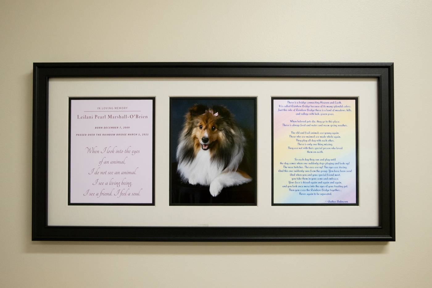 Leilani Comfort Room display with quote and poem