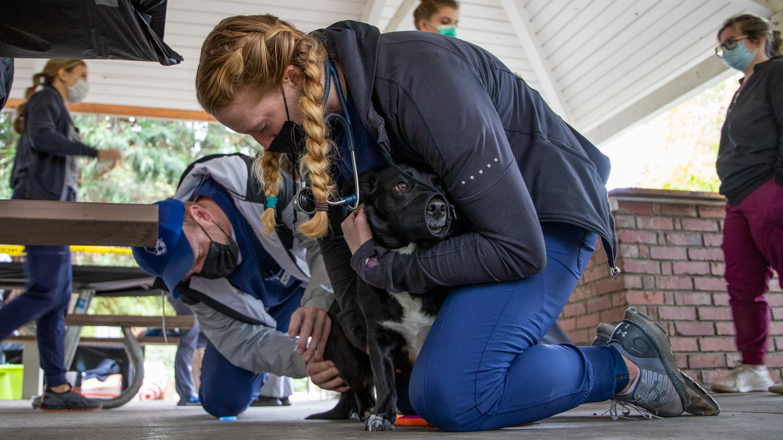 Dr. Jason Christensen and a student examine a dog. 