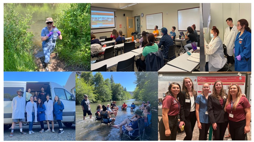 Students and faculty participate in a variety of one health activities (collage photo).