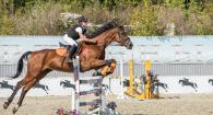 Equestrian in action, Photo by Андрей on Pexels.com
