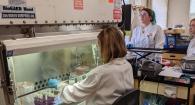 Sabrina Desha works in the hood while Andree Hunkapiller and Alex Bolesky check in samples from a transport cooler.