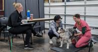 veterinarian observes student performing a canine exam while a fellow student holds the dog. 