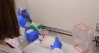 pipetting in the OVDL