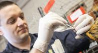ODA State Veterinarian Ryan Scholz checks a chicken. 