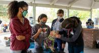 Students from the Shelter Medicine Club get advice from '21 graduate Dr. Eilea Delgadillo while examining a dog at the Street Dawgs & Cats event.