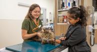 Madison Cates listens to Porter's heart while Dr. Yamini Chalam advises.