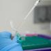 Test solution being extracted with syringe from a plastic vial. 